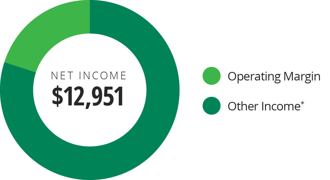 Net_Income