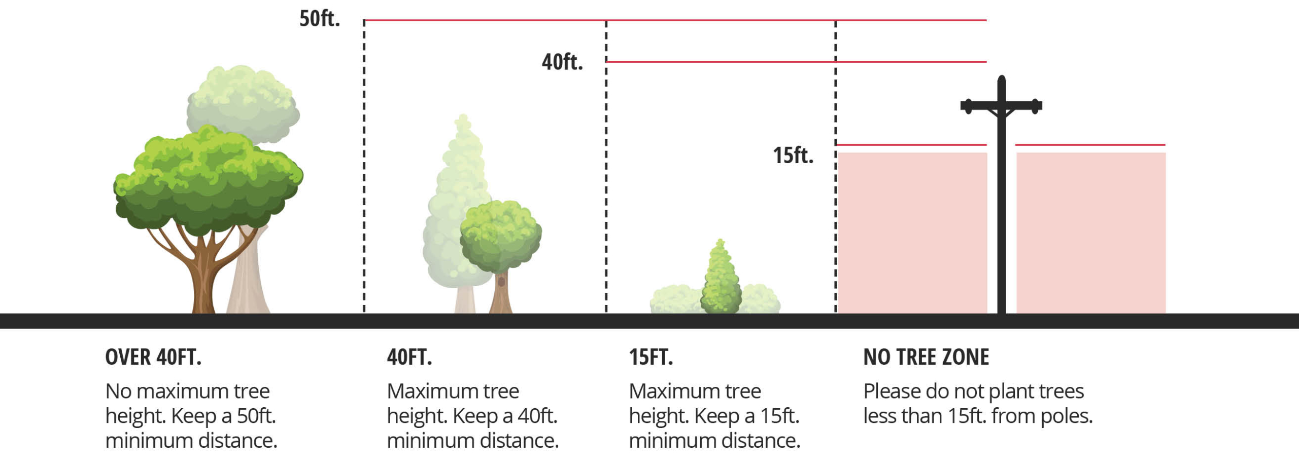 Planting Guidelines diagram of planting guidelines for trees, shrubs, and other vegetation and relative distance from power lines