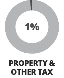 Property and Other Tax