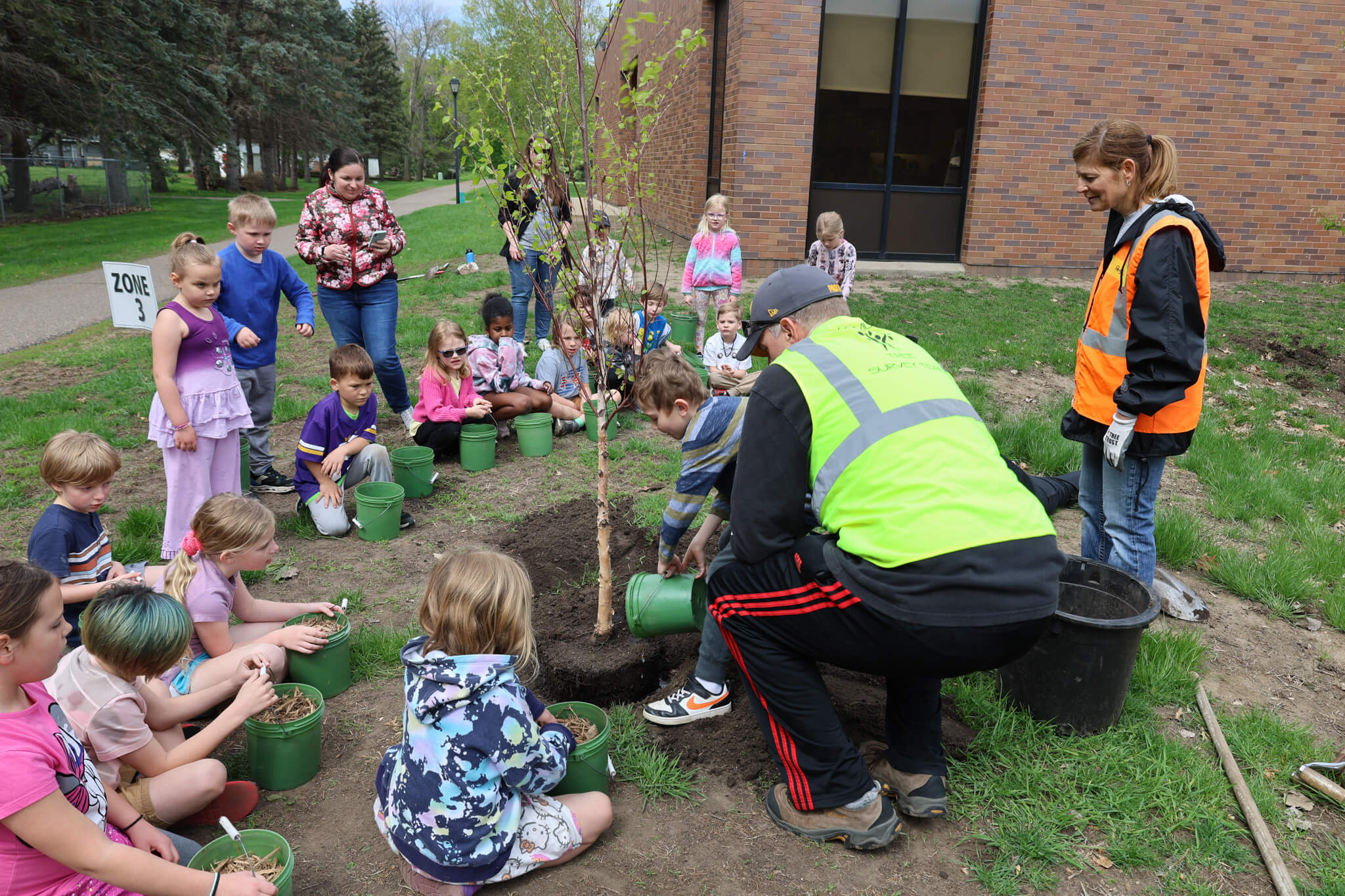 Tree Trust 3
